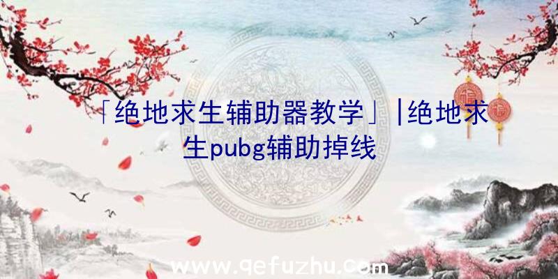 「绝地求生辅助器教学」|绝地求生pubg辅助掉线